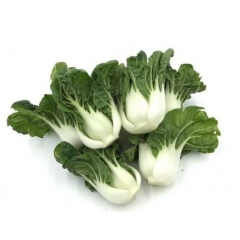 【叶菜】奶油白菜苗    约1磅/份