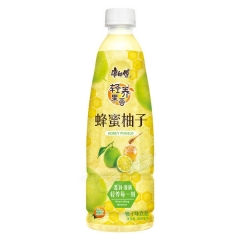 康师傅 蜂蜜柚子 500ml*2瓶/组