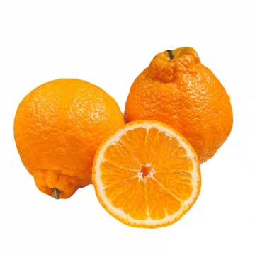 丑橘   2枚/组